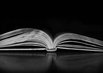 Buktikan Kamu Bukan Penakut dengan Baca 4 Novel Misteri Ini