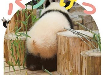 Buku Berisi Poto Bokong Panda Ludes Terjual