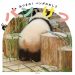 Buku Berisi Poto Bokong Panda Ludes Terjual