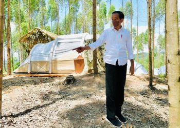 Jokowi dan Kolonialisme di Ibu Kota Nusantara