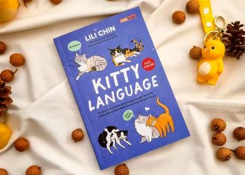 Bahasa Kucing: Menemani Manusia, Menumpas Kesepian